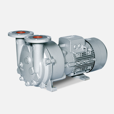 L-BV5 vacuum pumps/compressors