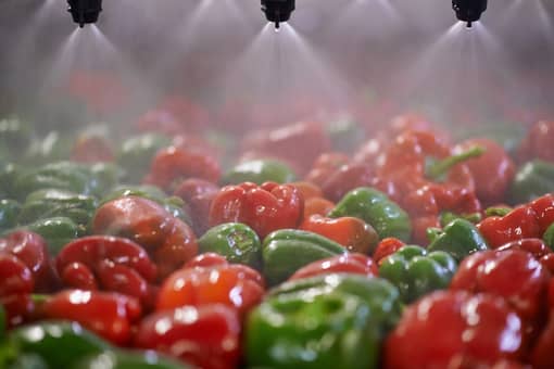 vegetable cleaning