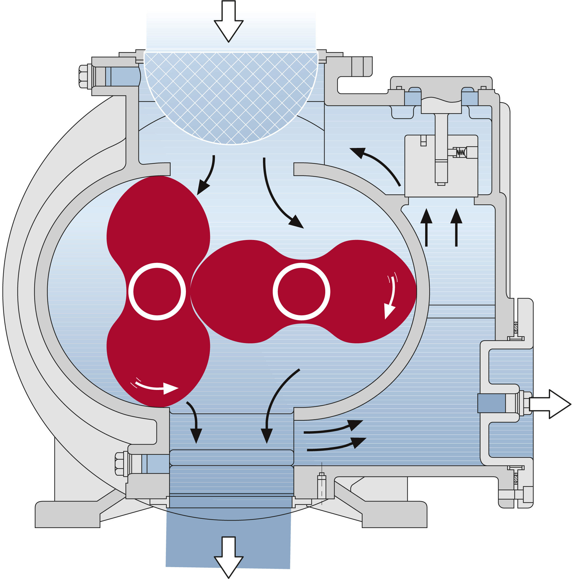 Rotary lobe pump cut section diagram