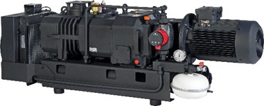 S-VSI 301 Screw Vacuum Pump from Elmo Rietschle