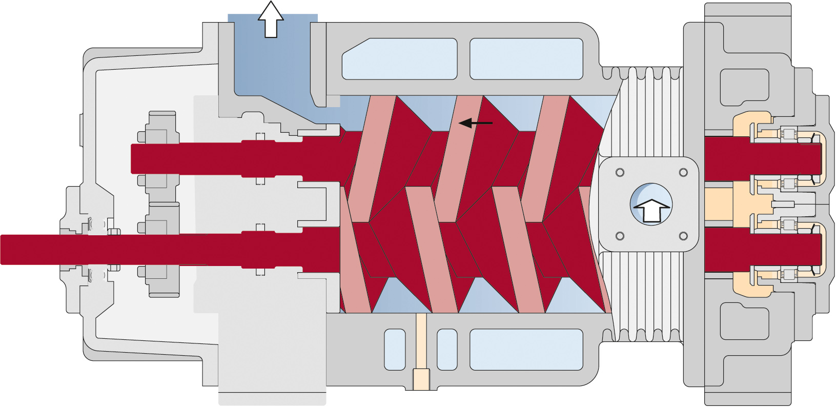 Screw vacuum pump operating principles cut section model
